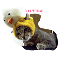 [LINEスタンプ] with cute cats