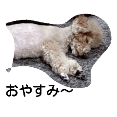 [LINEスタンプ] ブサカワ