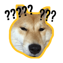 [LINEスタンプ] Dog Diary : First