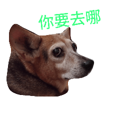 [LINEスタンプ] happy daidai