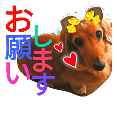 [LINEスタンプ] クルミとチャビ②