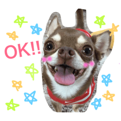 [LINEスタンプ] とむち