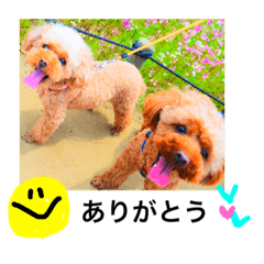 [LINEスタンプ] モコルルすたんぷ
