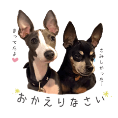 [LINEスタンプ] Lovely Pet Dogs 2