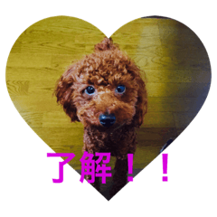 [LINEスタンプ] ぷっちくん