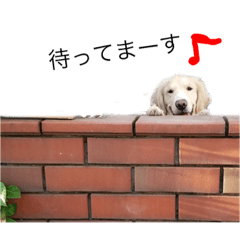 [LINEスタンプ] 大好きマック