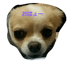 [LINEスタンプ] 日常ぷり