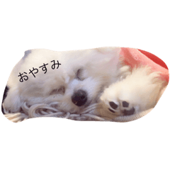 [LINEスタンプ] ここと