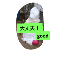 [LINEスタンプ] snow daruma