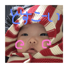 [LINEスタンプ] さらの毎日2