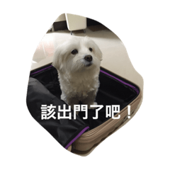 [LINEスタンプ] cute dog me z