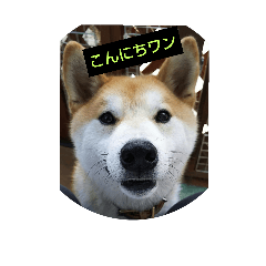 [LINEスタンプ] まいにち大吉①