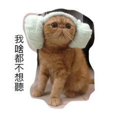 [LINEスタンプ] lulucat happy live 1st