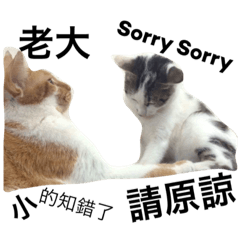 [LINEスタンプ] Daily life articles