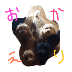 [LINEスタンプ] 我が家のわんこ6匹