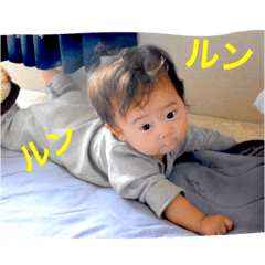 [LINEスタンプ] うちの子達❤4～7ヵ月..
