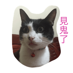[LINEスタンプ] Cute sister everyday