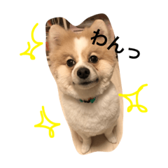 [LINEスタンプ] yamato0517