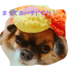 [LINEスタンプ] BUSAIKU ku