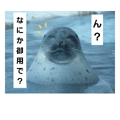 [LINEスタンプ] alice-Aquarium