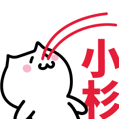 [LINEスタンプ] 小杉 専用スタンプ！！！