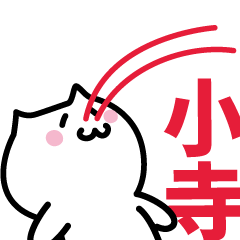 [LINEスタンプ] 小寺 専用スタンプ！！！