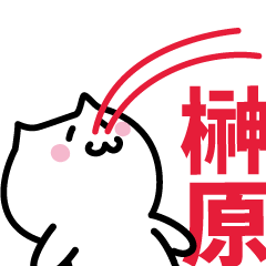 [LINEスタンプ] 榊原 専用スタンプ！！！