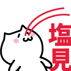 [LINEスタンプ] 塩見 専用スタンプ！！！