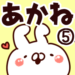 [LINEスタンプ] 【あかね】専用5の画像（メイン）