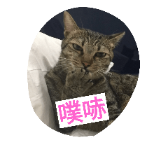 [LINEスタンプ] BoBoW