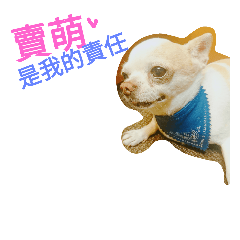 [LINEスタンプ] babycoco
