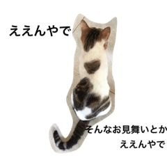 [LINEスタンプ] インフルで暇な貴方へ