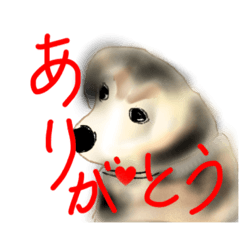 [LINEスタンプ] ジョンがお話してる