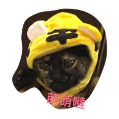 [LINEスタンプ] NaNa＆Sona' Cute Cat＆Dog