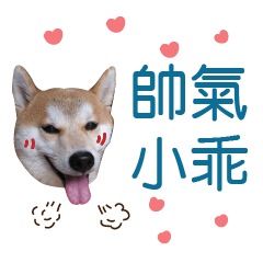[LINEスタンプ] Handsome shiba