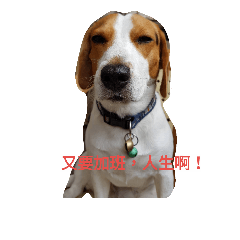[LINEスタンプ] Ami's Daily Life.