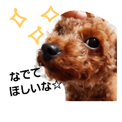 [LINEスタンプ] chocomi
