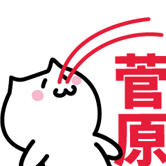 [LINEスタンプ] 菅原 専用スタンプ！！！