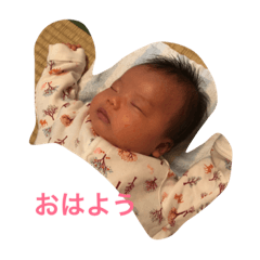 [LINEスタンプ] ひちゃんちゃん