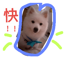 [LINEスタンプ] Mao Bear  Dog