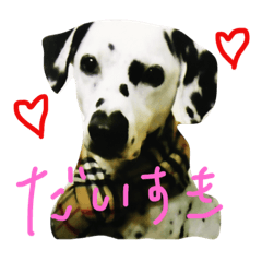 [LINEスタンプ] こいでのティナちゃん♡