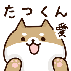 [LINEスタンプ] たつくんに送るスタンプ【愛】