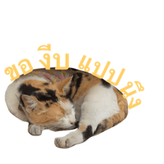 [LINEスタンプ] Sleepy jung
