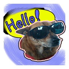 [LINEスタンプ] Lovely dogs along with you