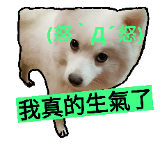 [LINEスタンプ] bagle HaHaHaHa