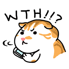 [LINEスタンプ] Maru chan's mur mur EN