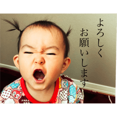 [LINEスタンプ] あんちゃん1歳