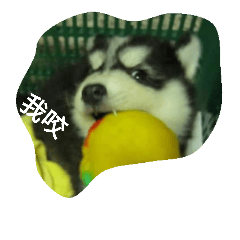 [LINEスタンプ] chyi chyi
