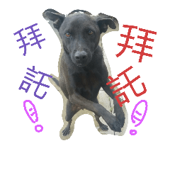 [LINEスタンプ] DogDoDo
