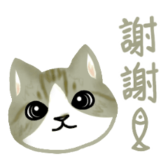 [LINEスタンプ] Cat Thanks You (Taiwan)
